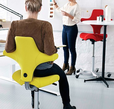 Ergonomic Capisco Puls Chair